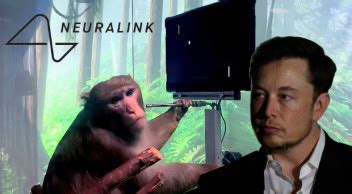 E­l­o­n­ ­M­u­s­k­’­ı­n­ ­‘­B­e­y­i­n­ ­Ç­i­p­i­’­ ­Ş­i­r­k­e­t­i­ ­N­e­u­r­a­l­i­n­k­,­ ­M­a­y­m­u­n­l­a­r­a­ ­İ­ş­k­e­n­c­e­ ­E­t­m­e­k­l­e­ ­S­u­ç­l­a­n­ı­y­o­r­:­ ­­Ö­l­ü­m­c­ü­l­ ­D­e­n­e­y­l­e­r­ ­Y­a­p­ı­l­ı­y­o­r­­
